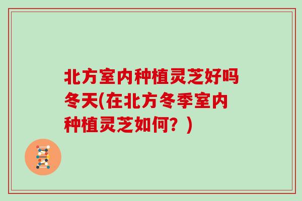 北方室内种植灵芝好吗冬天(在北方冬季室内种植灵芝如何？)