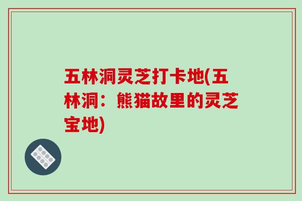 五林洞灵芝打卡地(五林洞：熊猫故里的灵芝宝地)