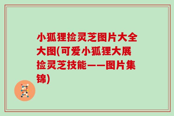 小狐狸捡灵芝图片大全大图(可爱小狐狸大展捡灵芝技能——图片集锦)