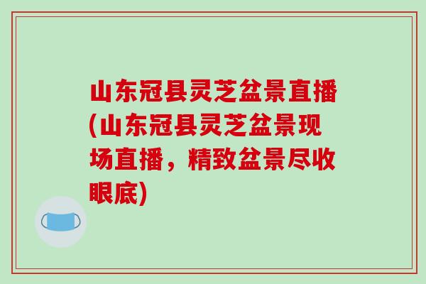 山东冠县灵芝盆景直播(山东冠县灵芝盆景现场直播，精致盆景尽收眼底)