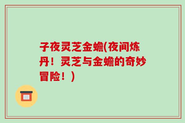 子夜灵芝金蟾(夜间炼丹！灵芝与金蟾的奇妙冒险！)