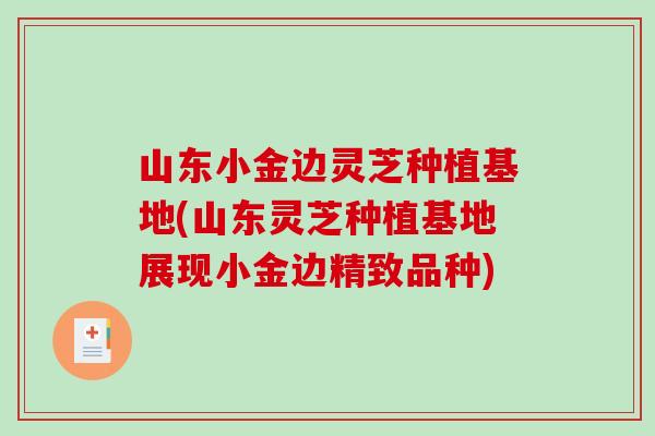 山东小金边灵芝种植基地(山东灵芝种植基地展现小金边精致品种)