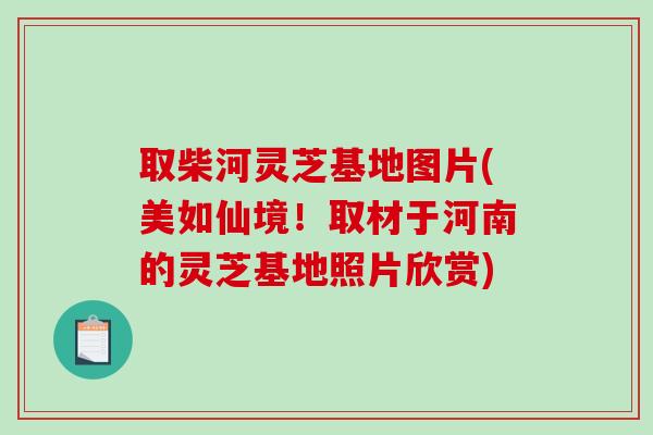 取柴河灵芝基地图片(美如仙境！取材于河南的灵芝基地照片欣赏)