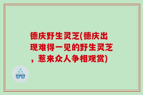 德庆野生灵芝(德庆出现难得一见的野生灵芝，惹来众人争相观赏)