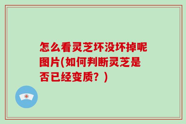 怎么看灵芝坏没坏掉呢图片(如何判断灵芝是否已经变质？)