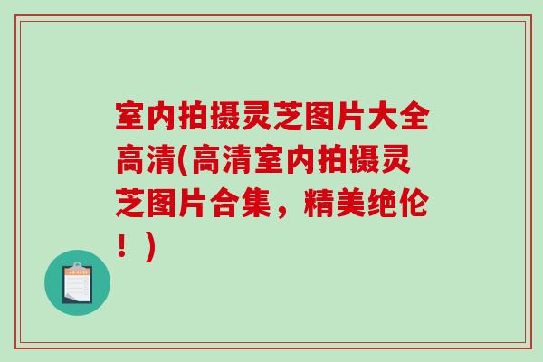 室内拍摄灵芝图片大全高清(高清室内拍摄灵芝图片合集，精美绝伦！)