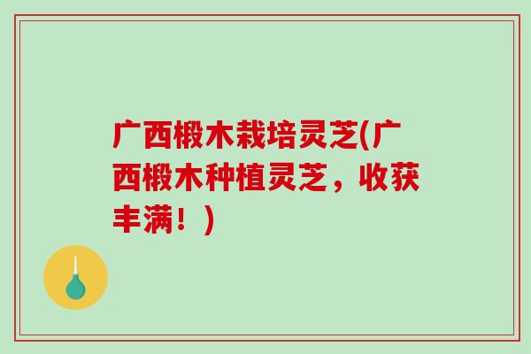 广西椴木栽培灵芝(广西椴木种植灵芝，收获丰满！)