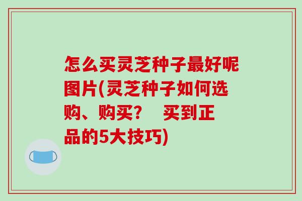 怎么买灵芝种子好呢图片(灵芝种子如何选购、购买？  买到正品的5大技巧)