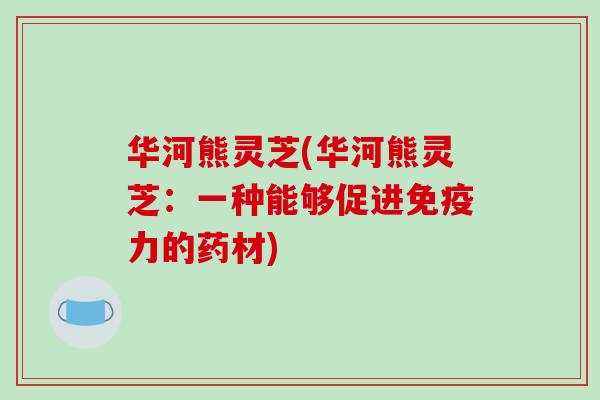 华河熊灵芝(华河熊灵芝:一种能够促进免疫力的药材) 华河熊灵芝(华河熊灵芝:一种能够促进免疫力的药材)