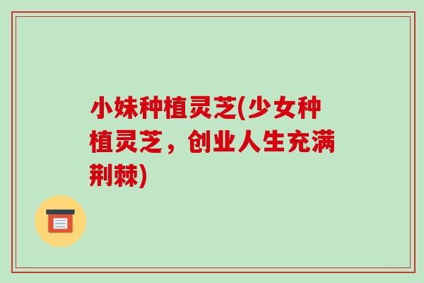 小妹种植灵芝(少女种植灵芝,创业人生充满荆棘) 小妹种植灵芝(少女种植灵芝,创业人生充满荆棘)