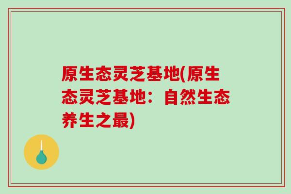 原生态灵芝基地(原生态灵芝基地：自然生态养生之)
