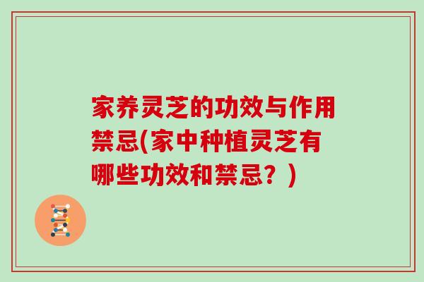 家养灵芝的功效与作用禁忌(家中种植灵芝有哪些功效和禁忌？)