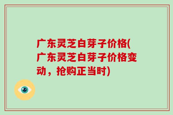 广东灵芝白芽子价格(广东灵芝白芽子价格变动，抢购正当时)