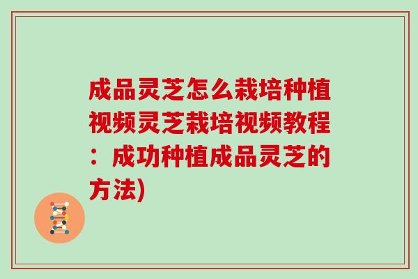 成品灵芝怎么栽培种植视频灵芝栽培视频教程：成功种植成品灵芝的方法)