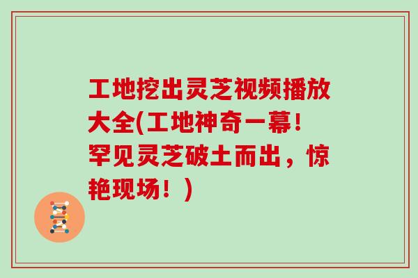 工地挖出灵芝视频播放大全(工地神奇一幕！罕见灵芝破土而出，惊艳现场！)