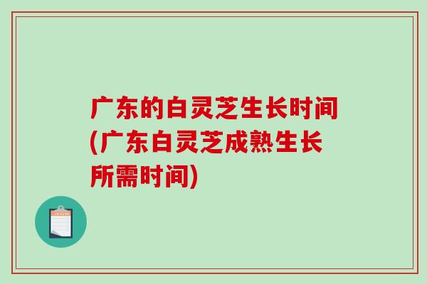 广东的白灵芝生长时间(广东白灵芝成熟生长所需时间)