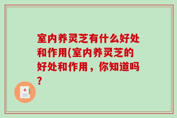 室内养灵芝有什么好处和作用(室内养灵芝的好处和作用，你知道吗？