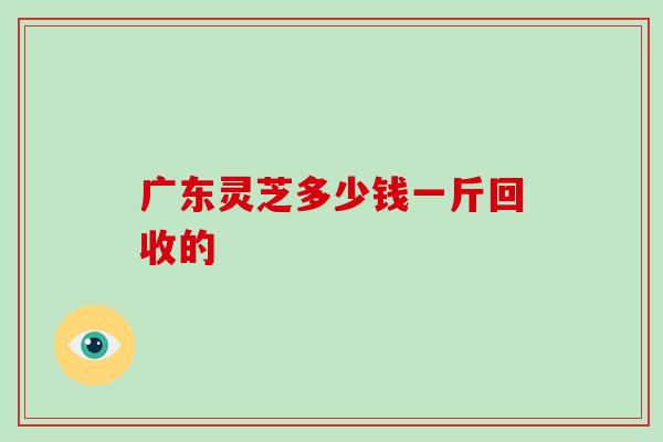 广东灵芝多少钱一斤回收的