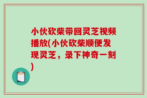 小伙砍柴带回灵芝视频播放(小伙砍柴顺便发现灵芝,录下神奇一刻) 小伙砍柴带回灵芝视频播放(小伙砍柴顺便发现灵芝,录下神奇一刻)
