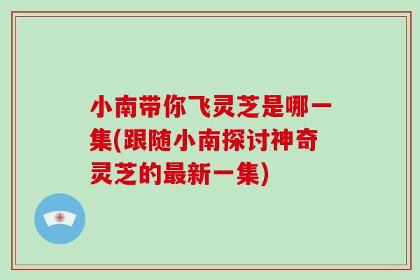 小南带你飞灵芝是哪一集(跟随小南探讨神奇灵芝的最新一集)
