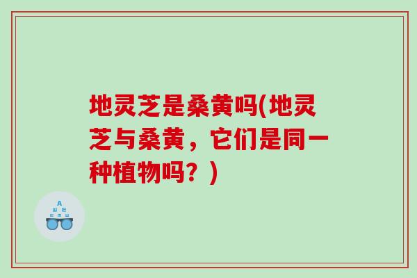 地灵芝是桑黄吗(地灵芝与桑黄，它们是同一种植物吗？)