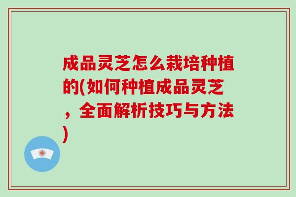 成品灵芝怎么栽培种植的(如何种植成品灵芝，全面解析技巧与方法)