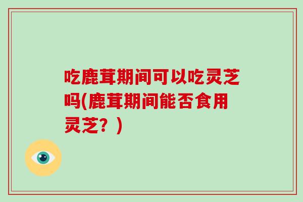 吃鹿茸期间可以吃灵芝吗(鹿茸期间能否食用灵芝？)
