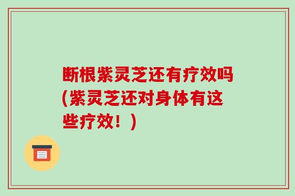 断根紫灵芝还有疗效吗(紫灵芝还对身体有这些疗效！)