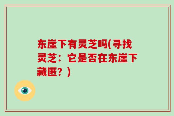 东崖下有灵芝吗(寻找灵芝：它是否在东崖下藏匿？)