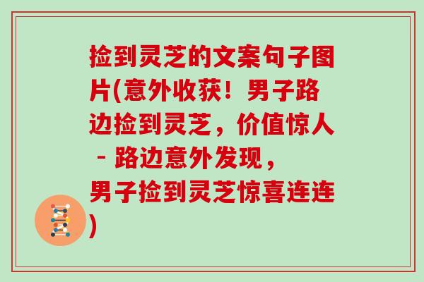 捡到灵芝的文案句子图片(意外收获！男子路边捡到灵芝，价值惊人 - 路边意外发现，男子捡到灵芝惊喜连连)