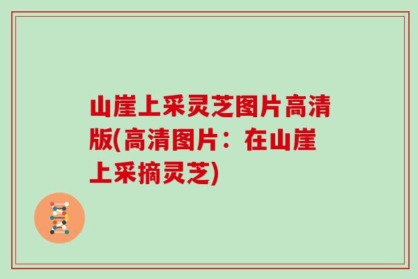 山崖上采灵芝图片高清版(高清图片：在山崖上采摘灵芝)