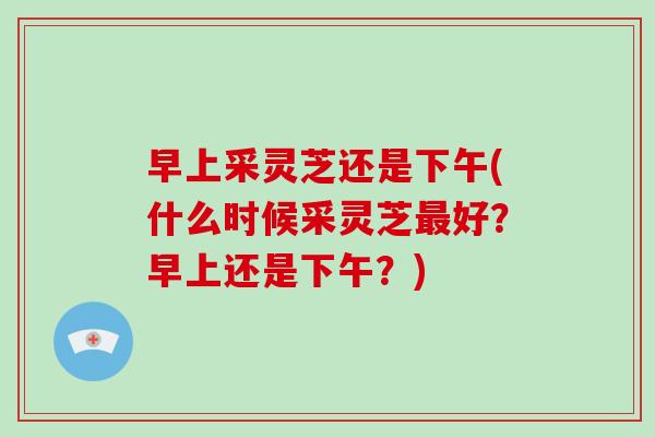 早上采灵芝还是下午(什么时候采灵芝好？早上还是下午？)
