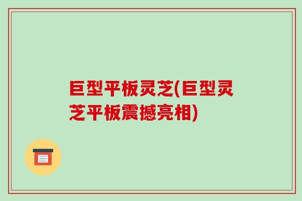 巨型平板灵芝(巨型灵芝平板震撼亮相)