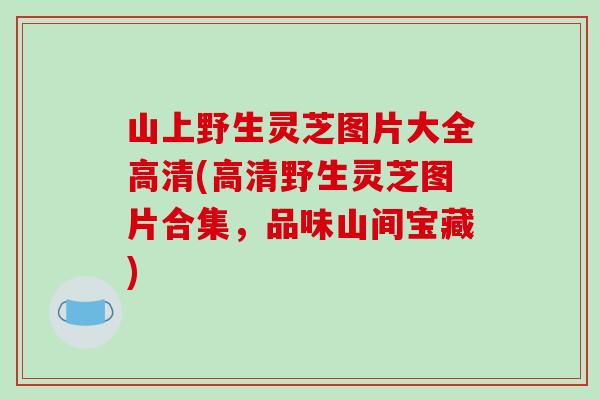 山上野生灵芝图片大全高清(高清野生灵芝图片合集，品味山间宝藏)