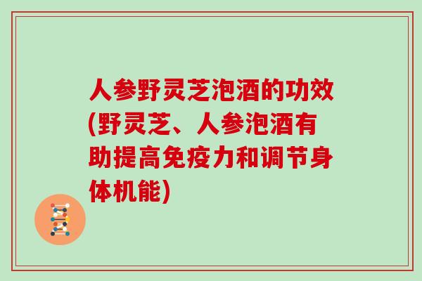 人参野灵芝泡酒的功效(野灵芝、人参泡酒有助提高免疫力和调节身体机能)
