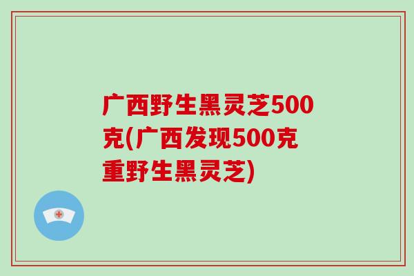 广西野生黑灵芝500克(广西发现500克重野生黑灵芝)