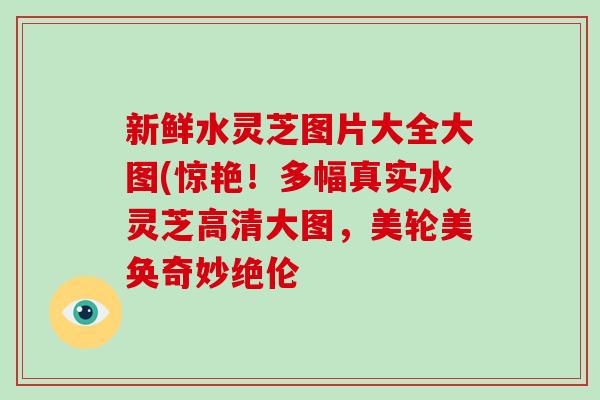 新鲜水灵芝图片大全大图(惊艳！多幅真实水灵芝高清大图，美轮美奂奇妙绝伦