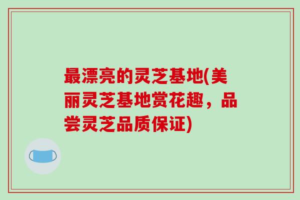 漂亮的灵芝基地(美丽灵芝基地赏花趣，品尝灵芝品质保证)