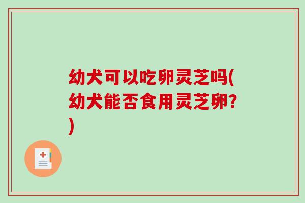 幼犬可以吃卵灵芝吗(幼犬能否食用灵芝卵？)