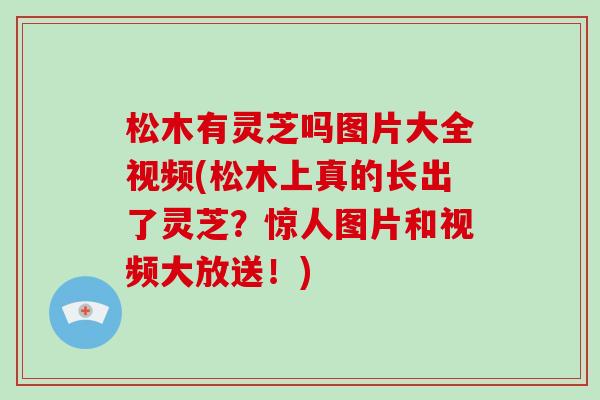松木有灵芝吗图片大全视频(松木上真的长出了灵芝？惊人图片和视频大放送！)