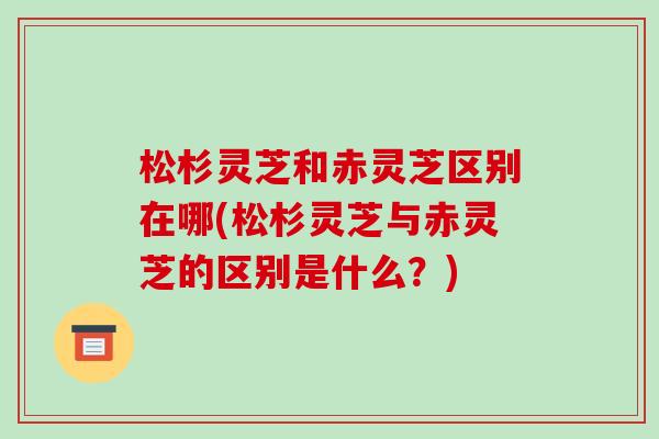 松杉灵芝和赤灵芝区别在哪(松杉灵芝与赤灵芝的区别是什么？)