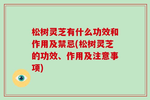 松树灵芝有什么功效和作用及禁忌(松树灵芝的功效、作用及注意事项)
