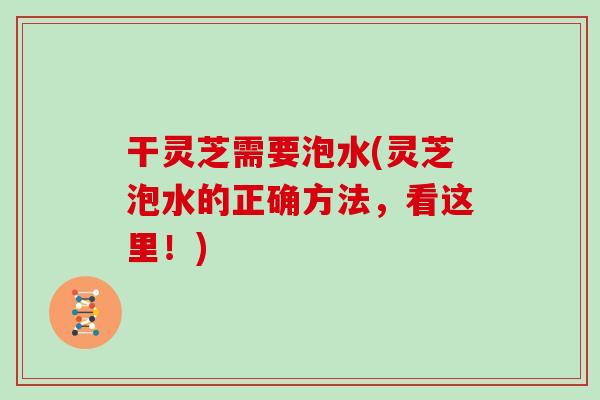 干灵芝需要泡水(灵芝泡水的正确方法，看这里！)