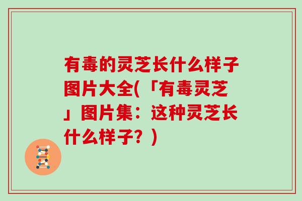 有毒的灵芝长什么样子图片大全(「有毒灵芝」图片集：这种灵芝长什么样子？)