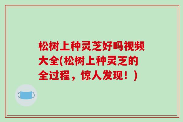 松树上种灵芝好吗视频大全(松树上种灵芝的全过程，惊人发现！)