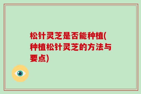 松针灵芝是否能种植(种植松针灵芝的方法与要点)
