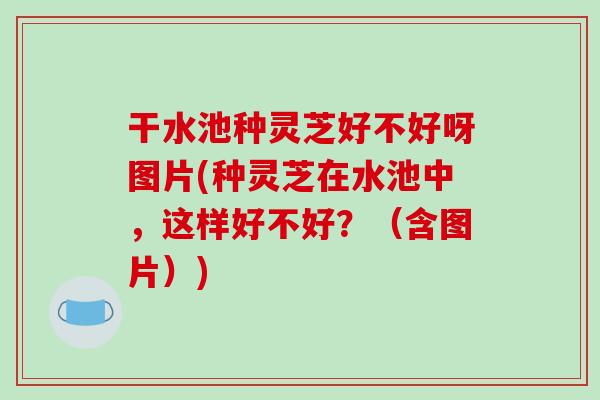 干水池种灵芝好不好呀图片(种灵芝在水池中，这样好不好？（含图片）)