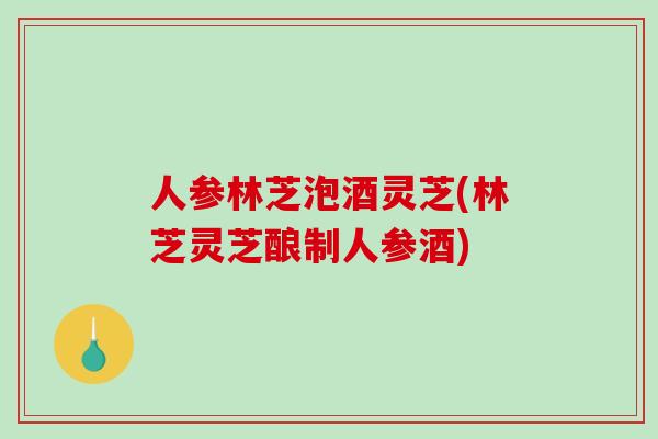 人参林芝泡酒灵芝(林芝灵芝酿制人参酒)