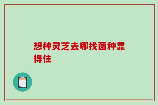 想种灵芝去哪找菌种靠得住