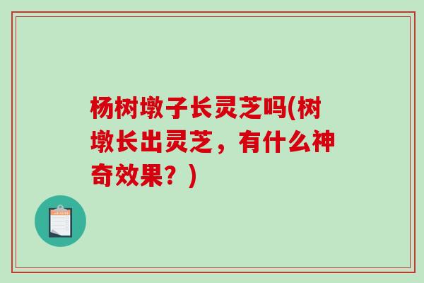 杨树墩子长灵芝吗(树墩长出灵芝，有什么神奇效果？)